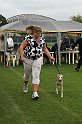 IMG_2210
