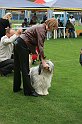 IMG_2218