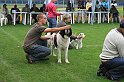 IMG_2219