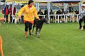 IMG_2223