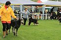 IMG_2224