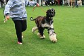 IMG_2227