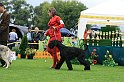 IMG_2236