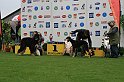 IMG_2237