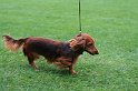 IMG_2238