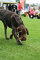 IMG_2240