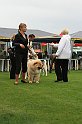 IMG_2241