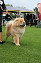 IMG_2243