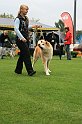 IMG_2244
