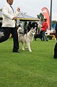 IMG_2245