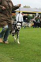 IMG_2247