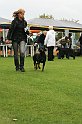 IMG_2248