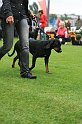 IMG_2250