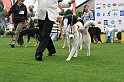 IMG_2258