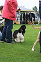 IMG_2261