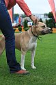 IMG_2262