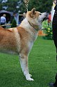 IMG_2263