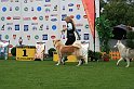 IMG_2270
