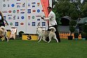 IMG_2271