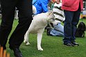 IMG_2273