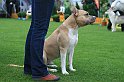 IMG_2276