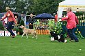 IMG_2278
