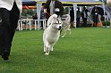 IMG_2283