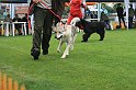 IMG_2284