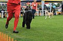 IMG_2285