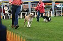 IMG_2286