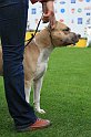IMG_2288