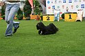 IMG_2297