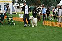IMG_2304