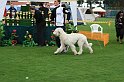 IMG_2305