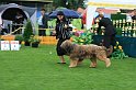 IMG_2309