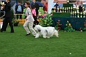 IMG_2312