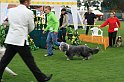 IMG_2313