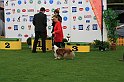 IMG_2314