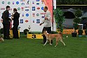 IMG_2315