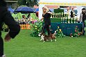 IMG_2317