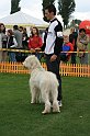 IMG_2321