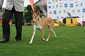 IMG_2328
