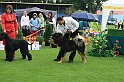 IMG_2337