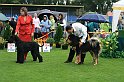 IMG_2338