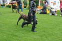 IMG_2339
