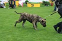 IMG_2340