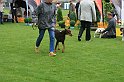 IMG_2341