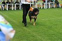IMG_2348
