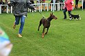 IMG_2350