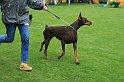 IMG_2351